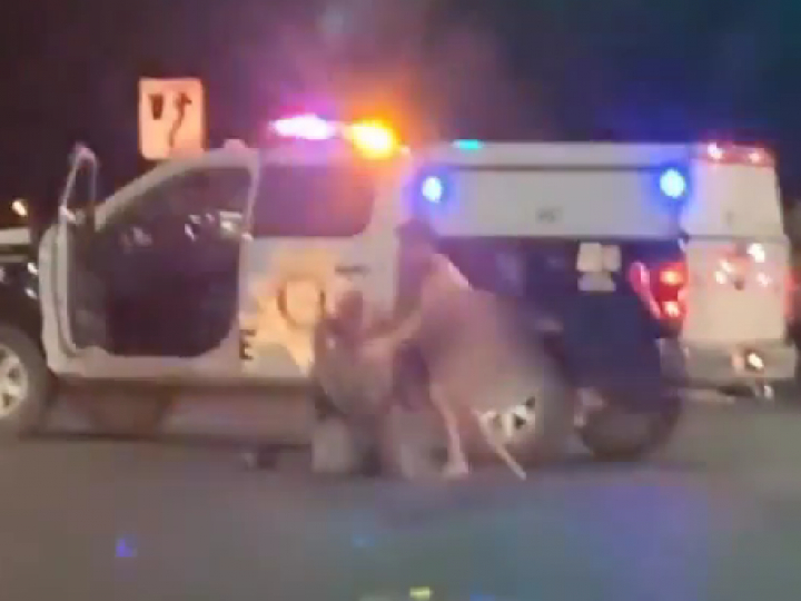 Naked Man Steals Vegas Police Vehicle