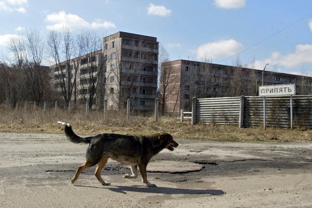 A Real Life Ghost Town.