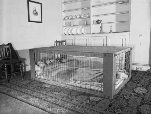 Indoor Home Shelter that was popular during the War