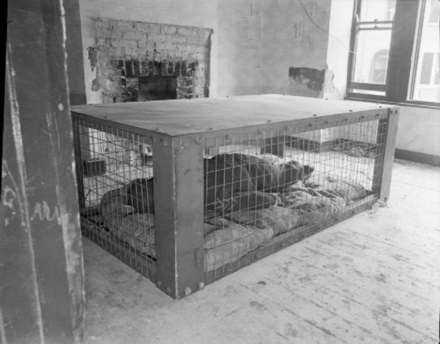 Indoor Home Shelter that was popular during the War