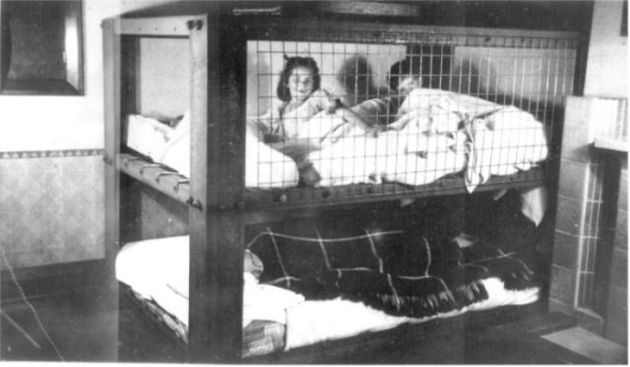 Indoor Home Shelter that was popular during the War