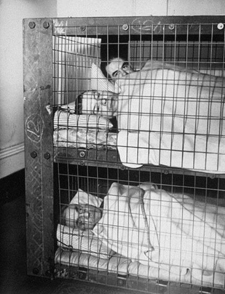 Indoor Home Shelter that was popular during the War