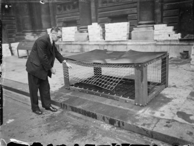 Indoor Home Shelter that was popular during the War