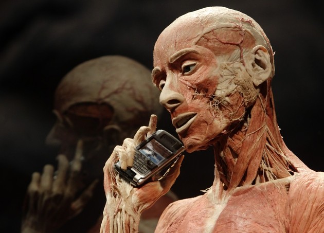 Plastinated Bodies