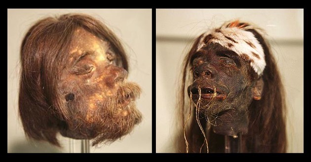 Shrunken heads of teh amazon