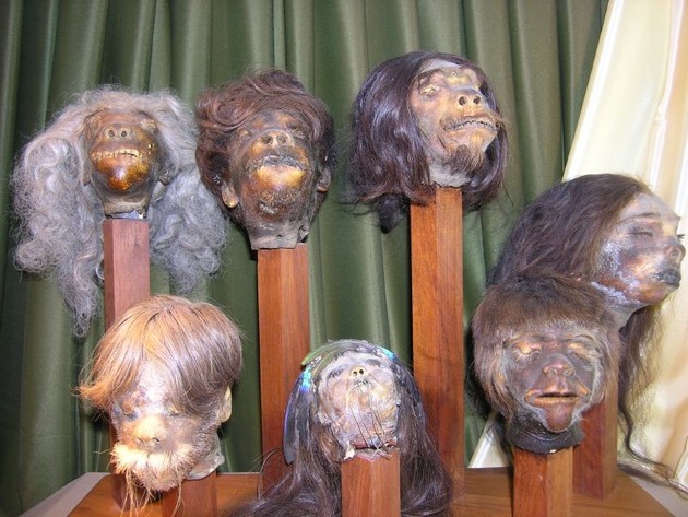 Shrunken heads of teh amazon