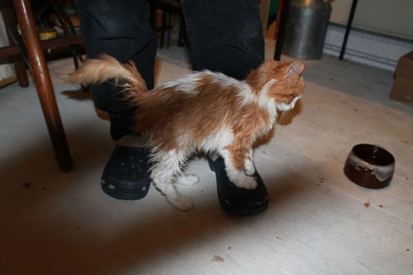 Her Dad Found A Box In The Snow. Nothing Could Prepare Them For What Was In It.