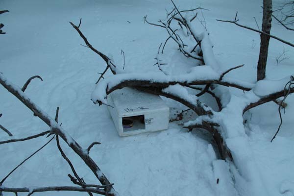 Her Dad Found A Box In The Snow. Nothing Could Prepare Them For What Was In It.