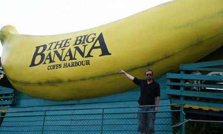 It's so Bananas!!