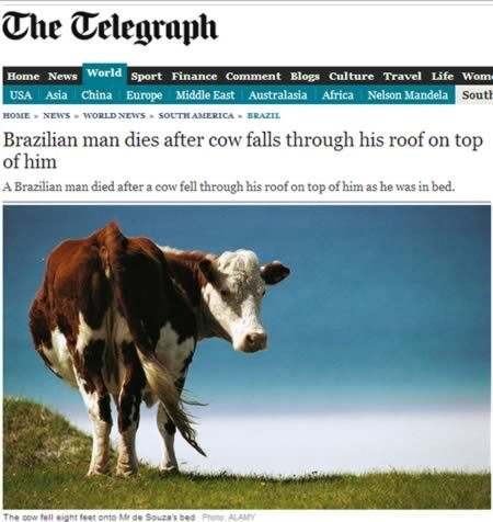 12 Craziest Headlines