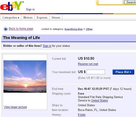 12 of the Weirdest eBay Auctions