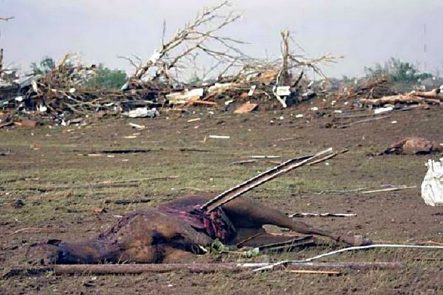Tornadoes Inflict Destruction