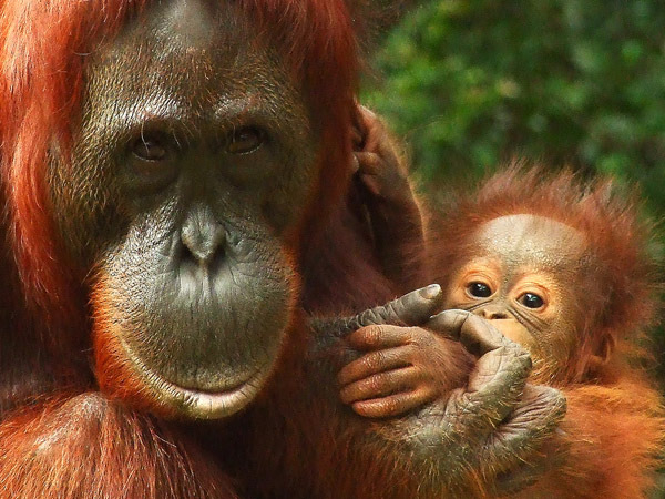 10 Unbelievably Badass Mothers