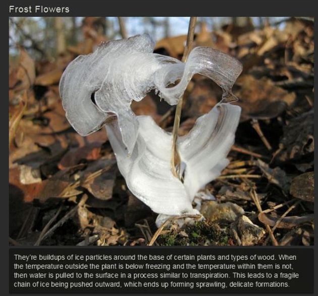 Fantastic Natural Phenomena