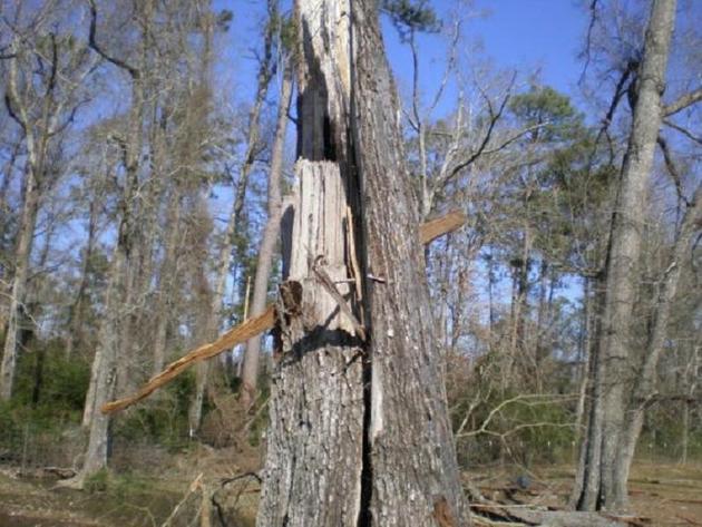 Tornadoes Inflict Destruction