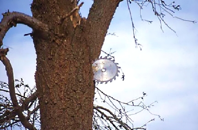 Tornadoes Inflict Destruction