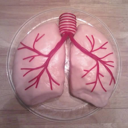 Creepiest Anatomical Cakes