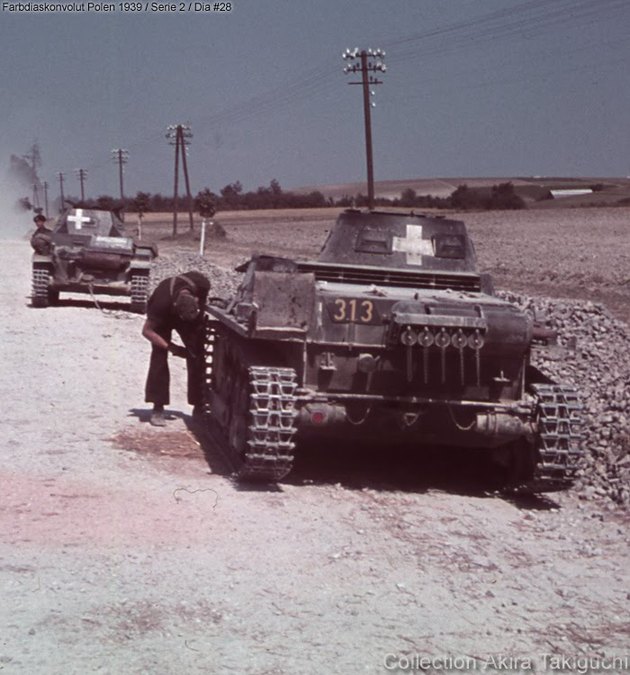 Color WWII Barnacles