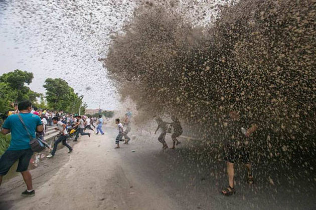 Massive Tidal Wave in China