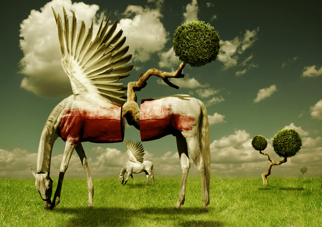 Impressive and Creative Digital Surrealism