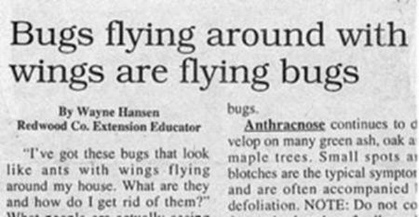 Headlines That Never Should Have Been Written