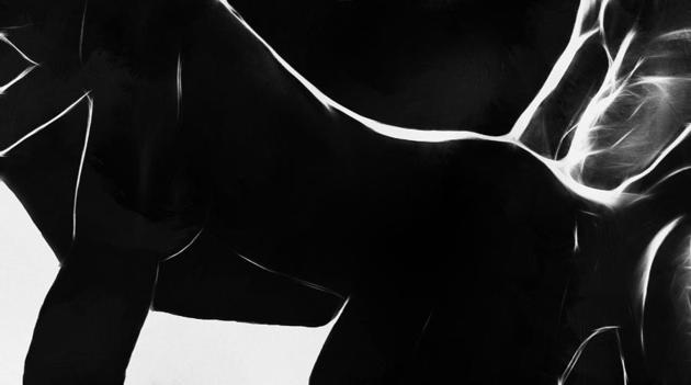 black and white erotica