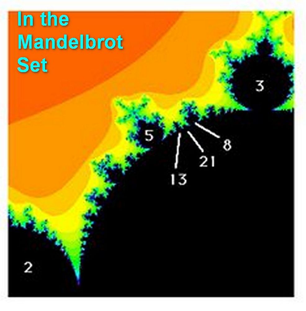 Worm's World Golden Ratio and Fibonacci Numbers