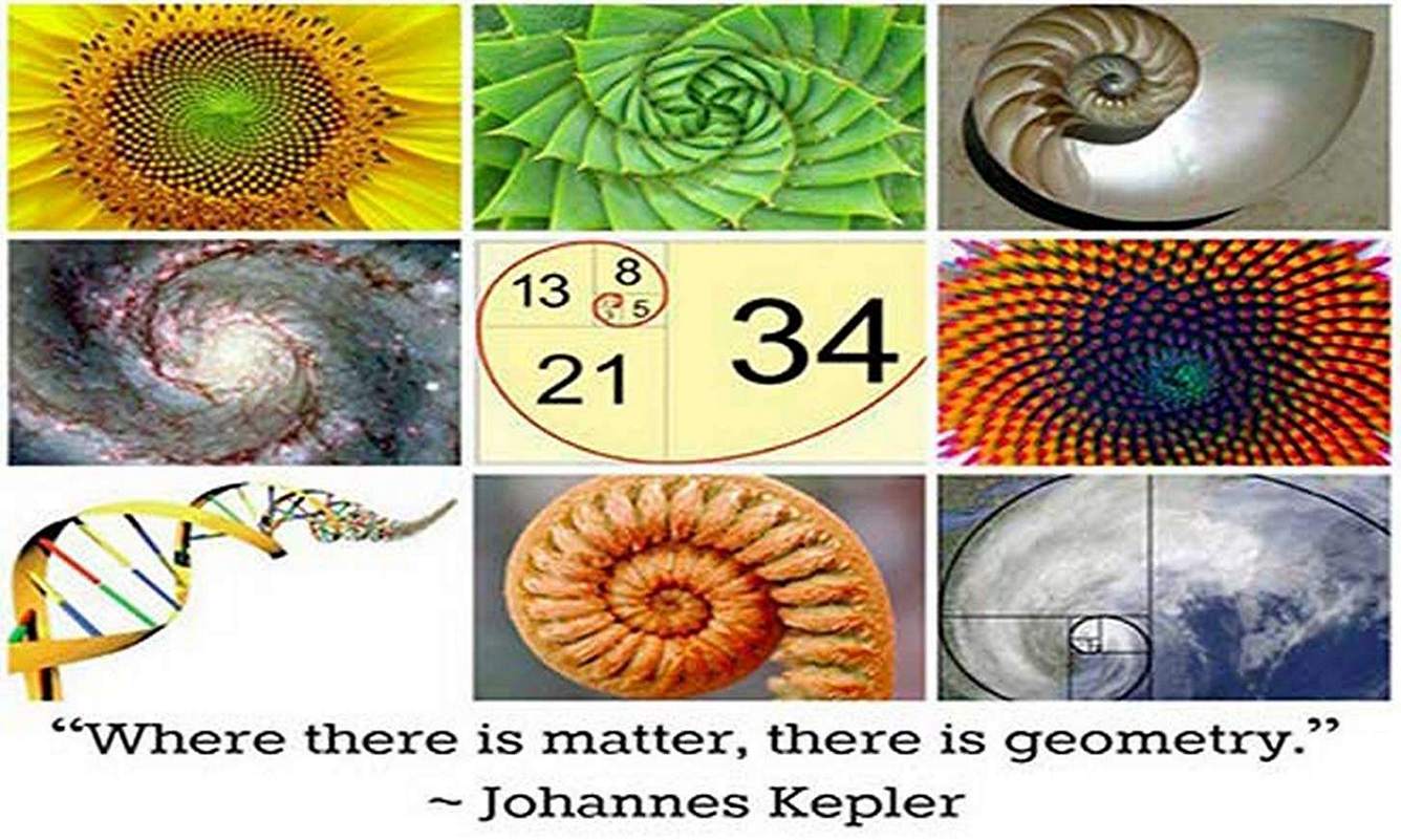 Worm's World Golden Ratio and Fibonacci Numbers