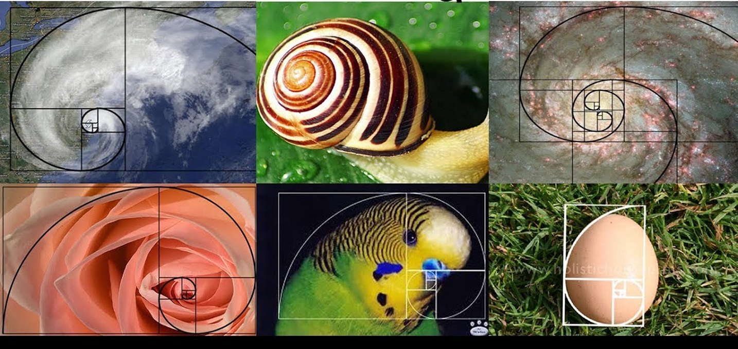 Worm's World Golden Ratio and Fibonacci Numbers