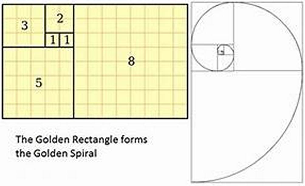 Worm's World Golden Ratio and Fibonacci Numbers