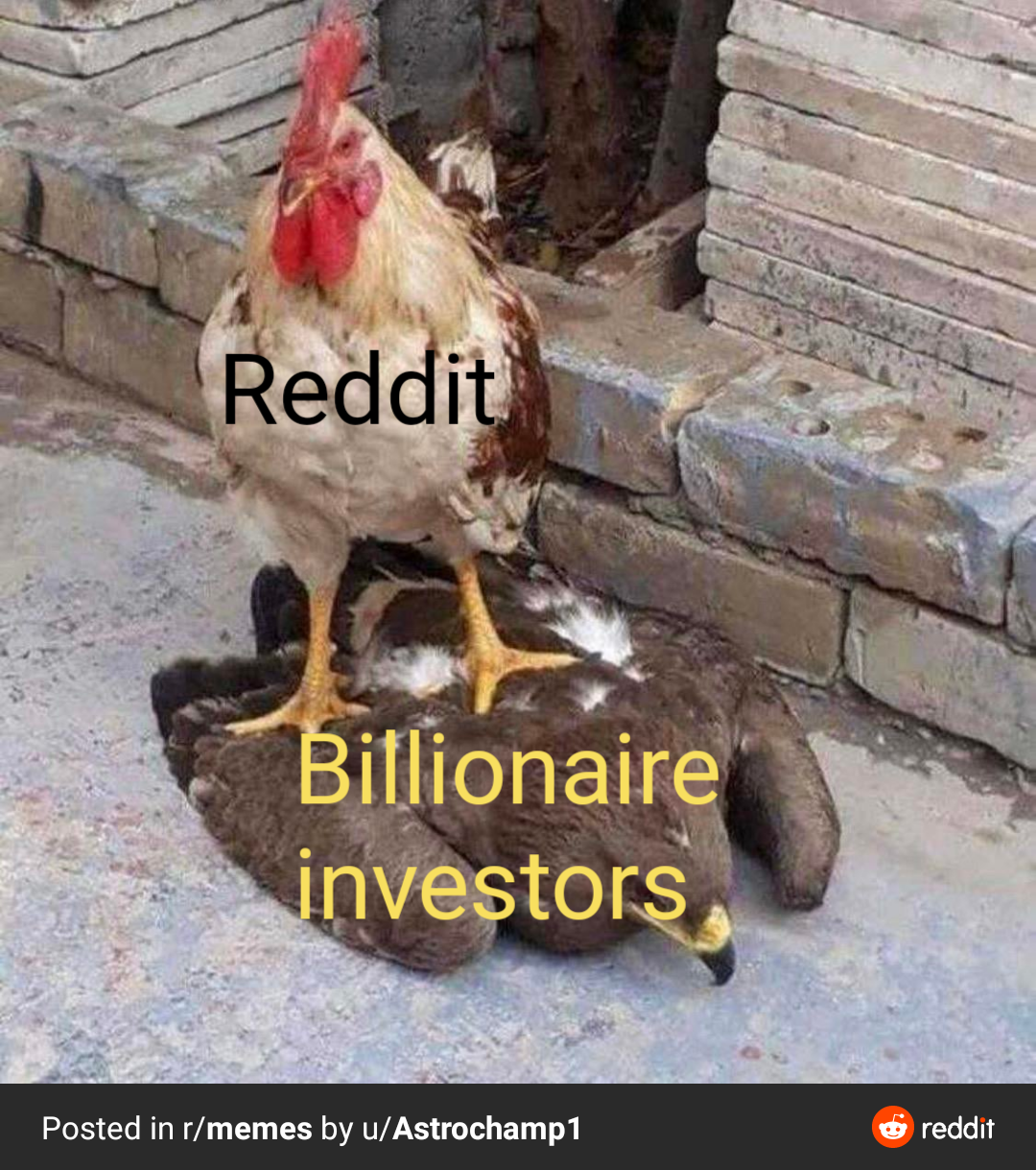 The internet vs wallstreet