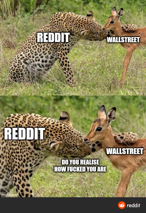 The internet vs wallstreet