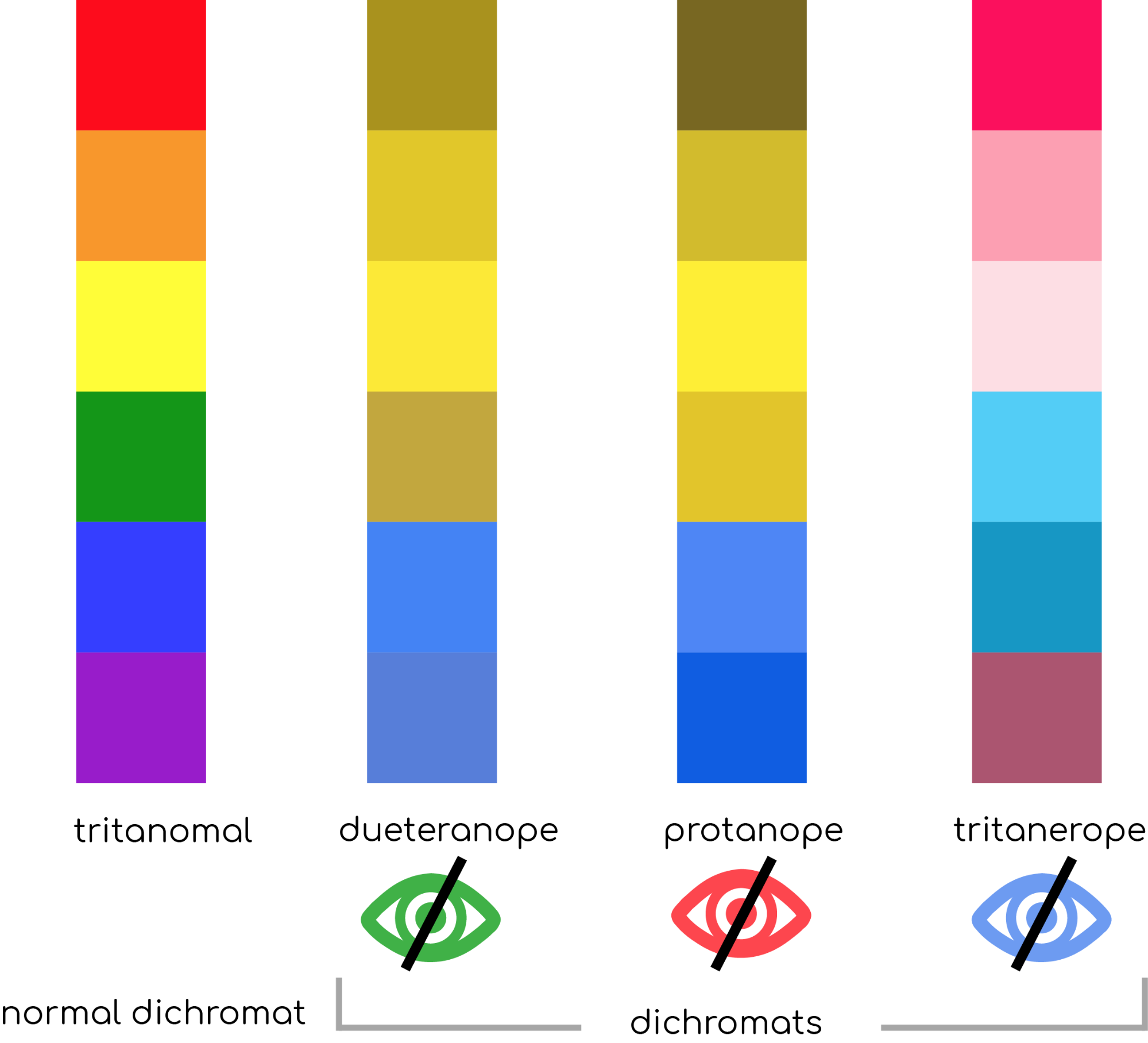 WW Color Theory+Vision