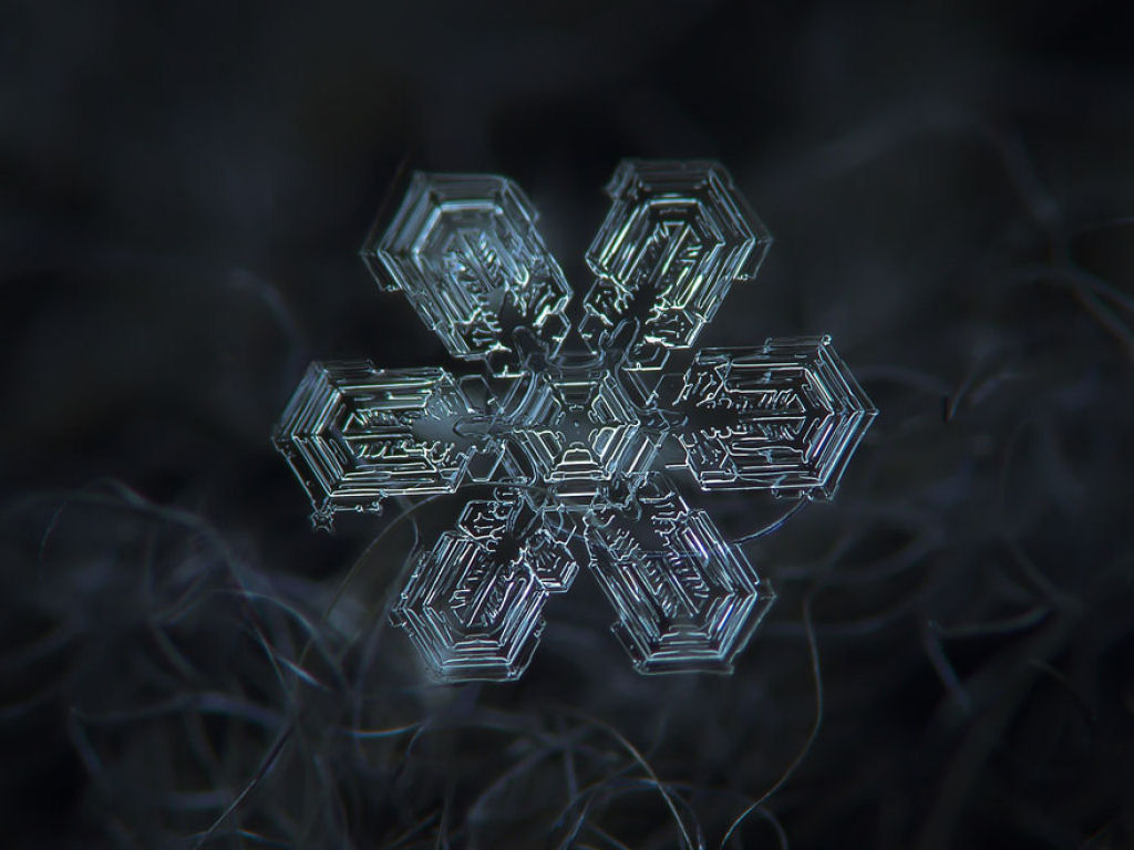 The unique beauty of snowflakes