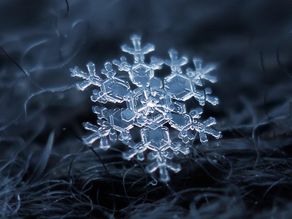 The unique beauty of snowflakes