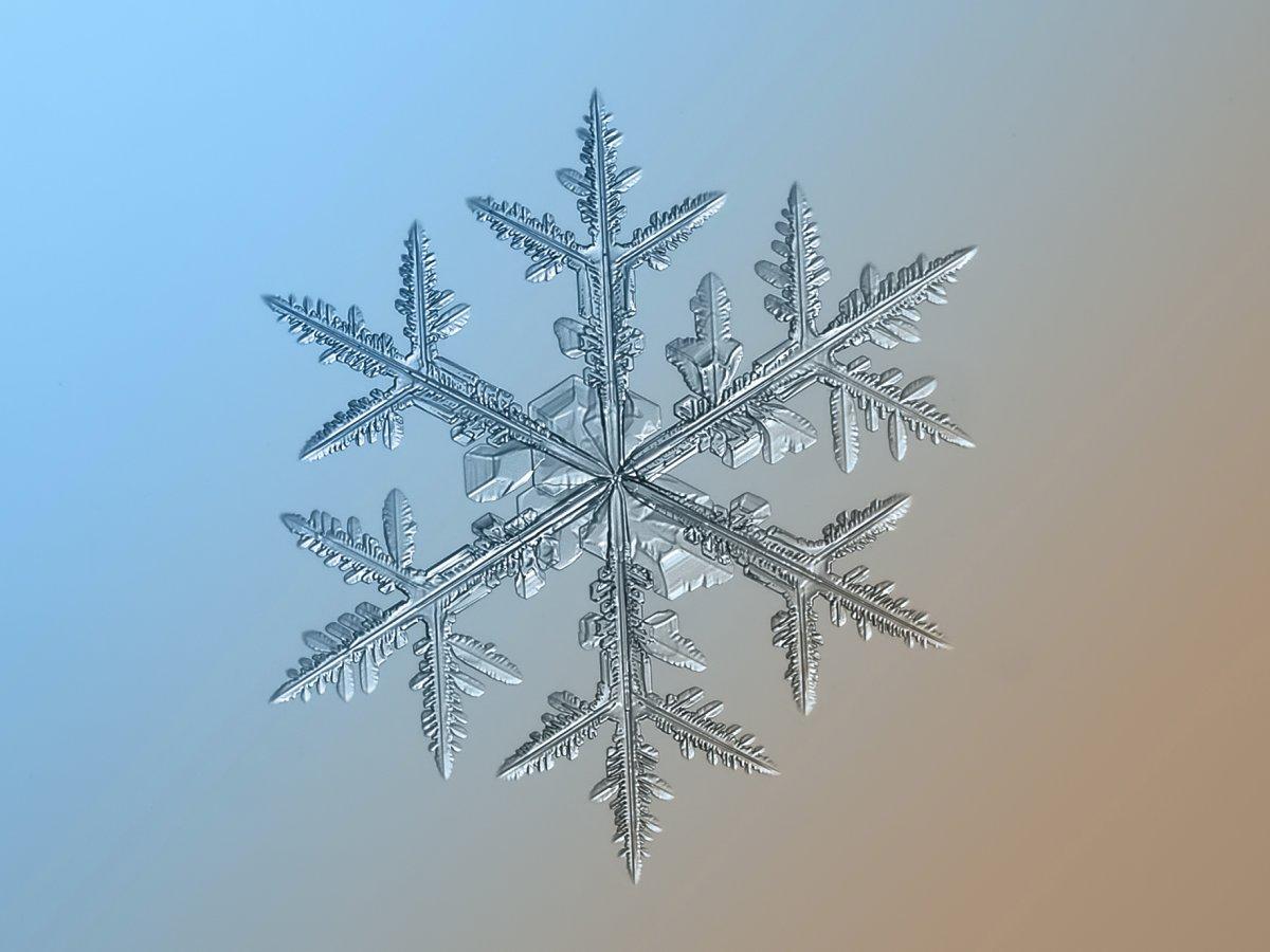 The unique beauty of snowflakes