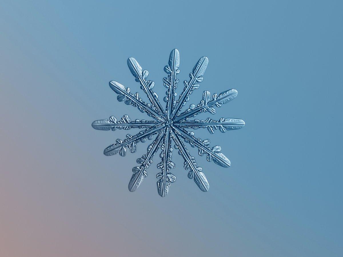 The unique beauty of snowflakes