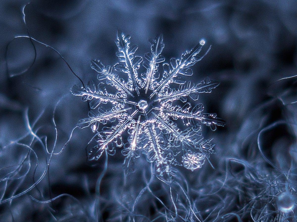 The unique beauty of snowflakes