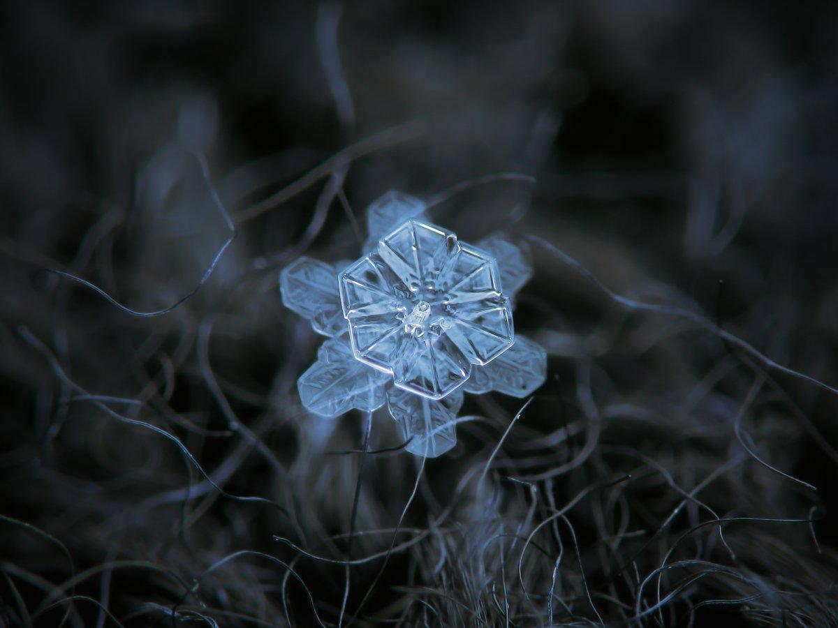 The unique beauty of snowflakes