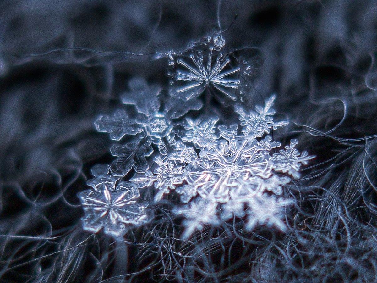 The unique beauty of snowflakes