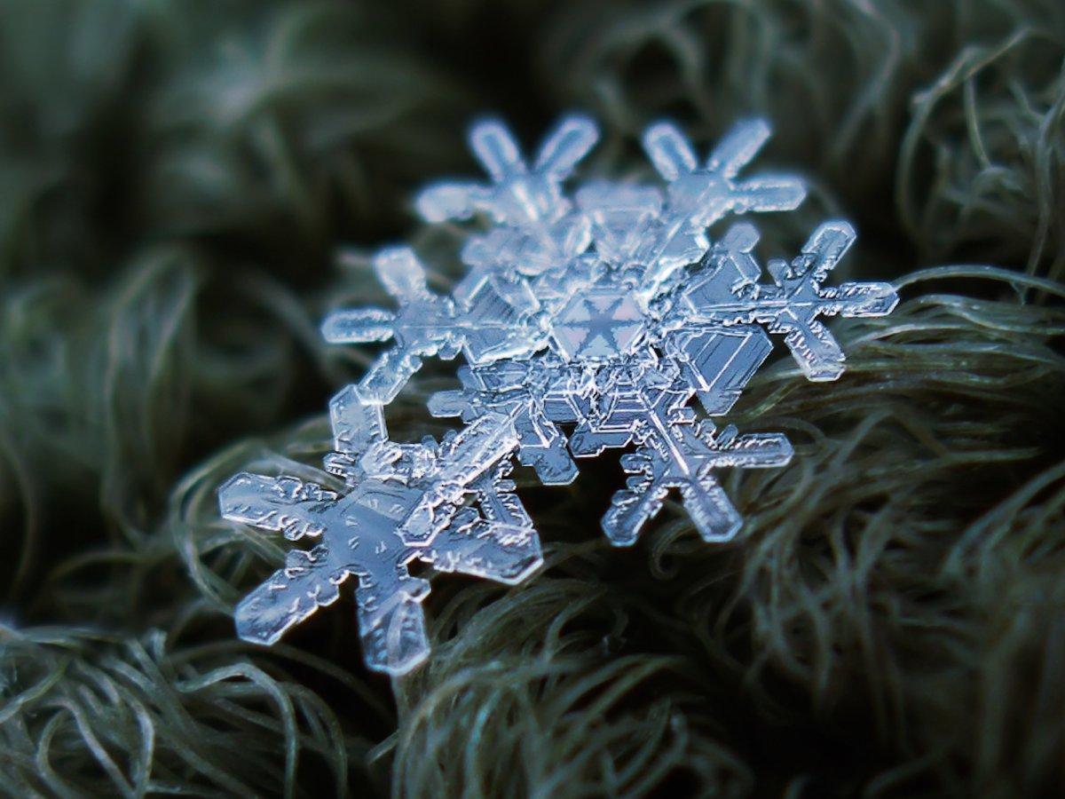 The unique beauty of snowflakes