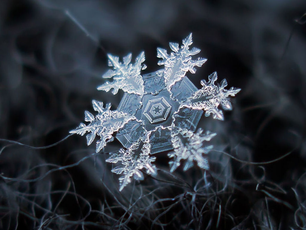 The unique beauty of snowflakes