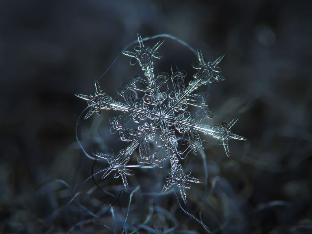 The unique beauty of snowflakes