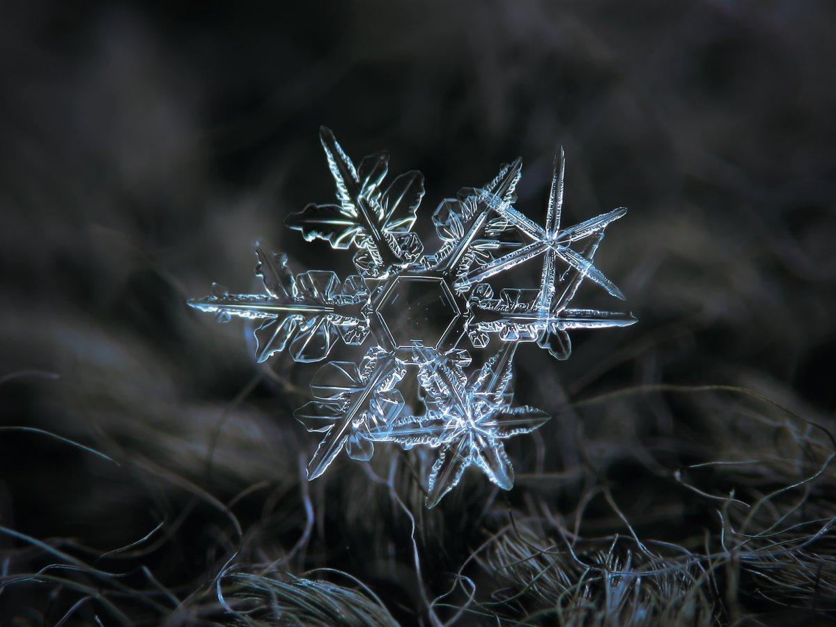 The unique beauty of snowflakes