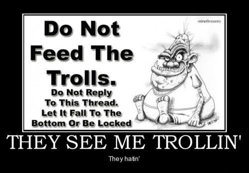 Internet Troll- who are they and how to deal with it