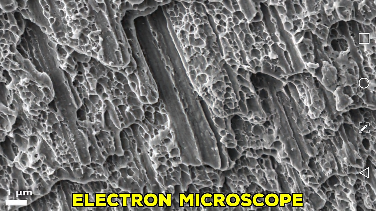 Scanning Electron Microscope Gallery 2