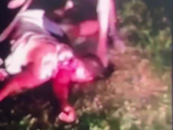 Woman decapitated(repost)