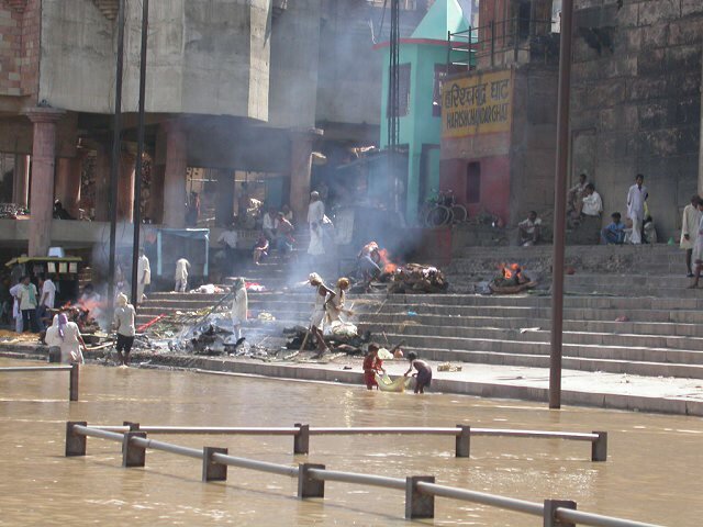 The GANGE (India), a dumping ground for animals and humans