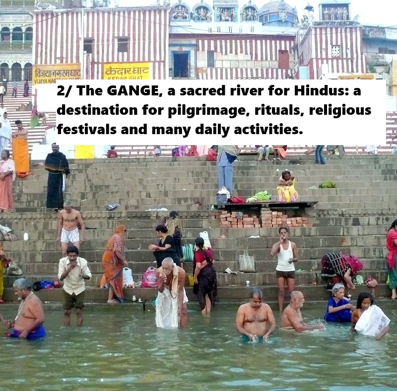 The GANGE (India), a dumping ground for animals and humans