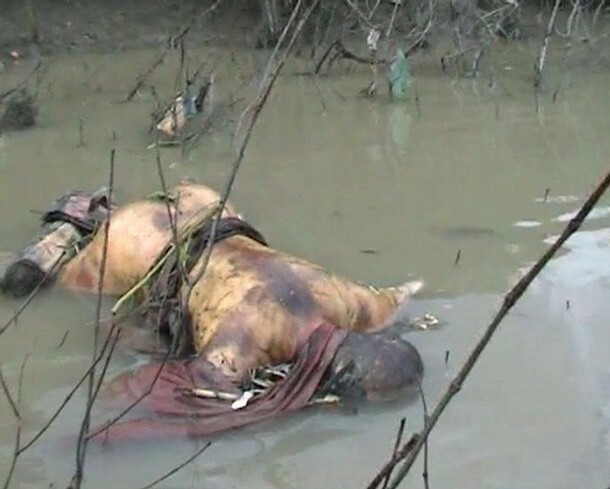 The GANGE (India), a dumping ground for animals and humans